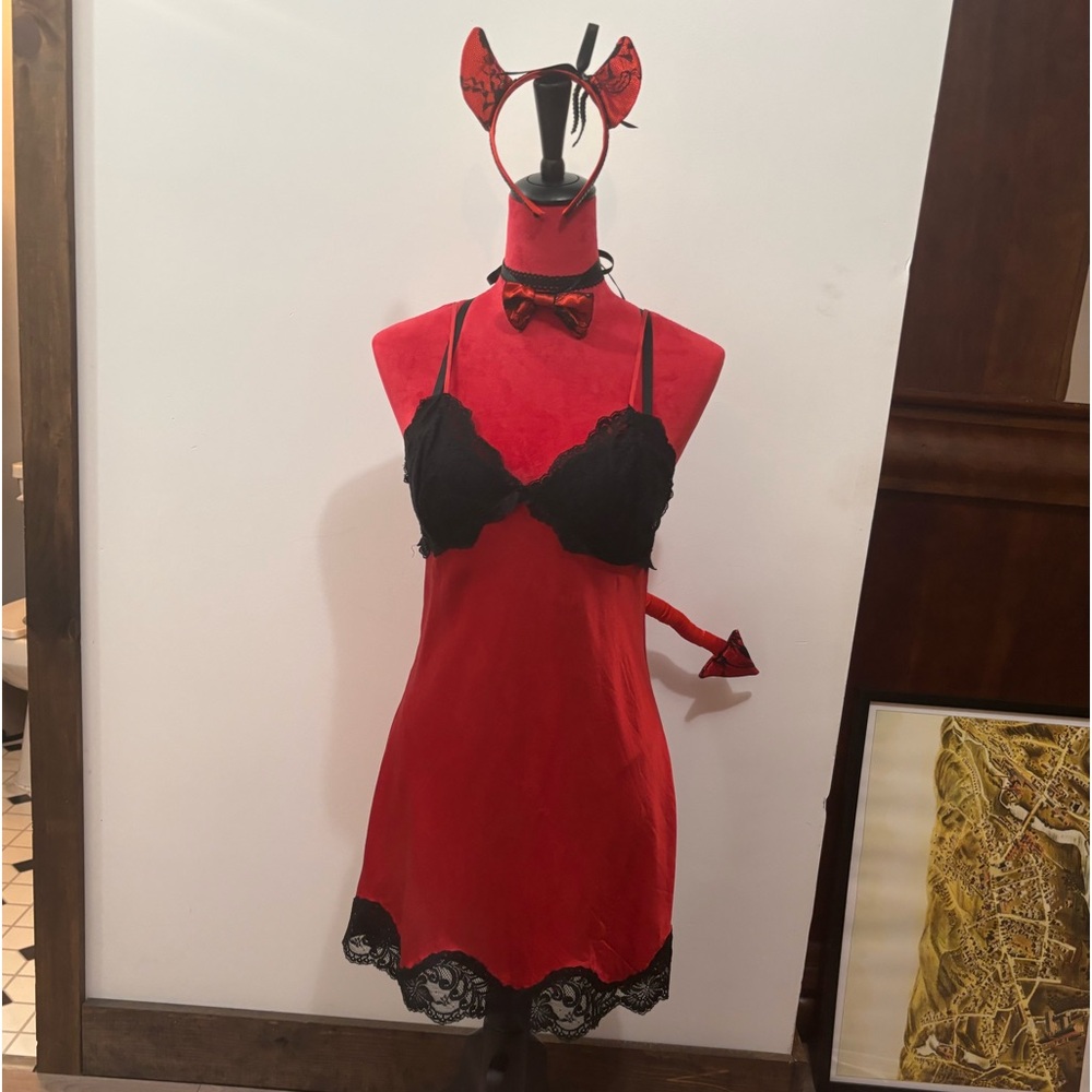 Lacey Devil Costume